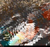 Springbrook andTamborine Rainforest Tour Incl Natural Bridge and Glow Worm Cave - Accommodation Georgetown