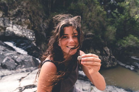 Springbrook AndTamborine Rainforest Tour Incl Natural Bridge And Glow Worm Cave - Accommodation Georgetown 1