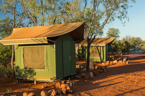 4 Day/3 Night Perentie Dreaming Safari - Accommodation Georgetown 2