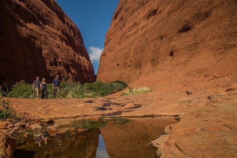 4 Day/3 Night Perentie Dreaming Safari - Accommodation Georgetown 3