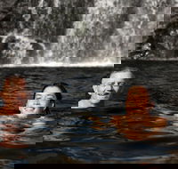 3 Day 4WD Dragonfly Dreaming Top End Safari - Accommodation Georgetown