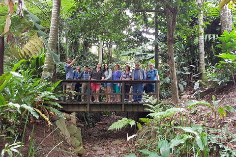Cairns Shore Excursion: Cairns City Sights & Surrounds Tour - Accommodation Georgetown 1