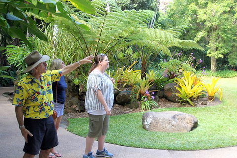 Cairns Shore Excursion: Cairns City Sights & Surrounds Tour - Accommodation Georgetown 4