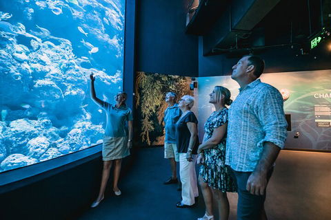 Cairns Aquarium By Twilight With 3-Course Dinner - Accommodation Georgetown 1