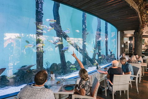 Cairns Aquarium Tour By Twilight With Drink And Appetiser - Accommodation Georgetown 3