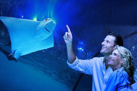 Cairns Aquarium Tour By Twilight With Drink And Appetiser - Accommodation Georgetown 4
