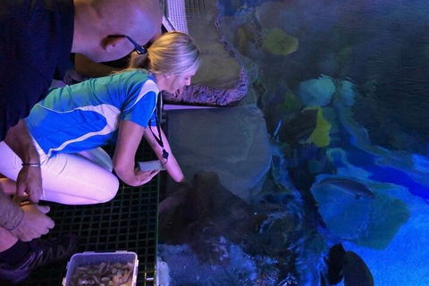 Cairns Aquarium Marine Life Encounter Ticket With 2-Course Lunch - Accommodation Georgetown 2