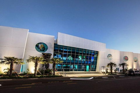 Cairns Aquarium Admission Ticket - Accommodation Georgetown 4