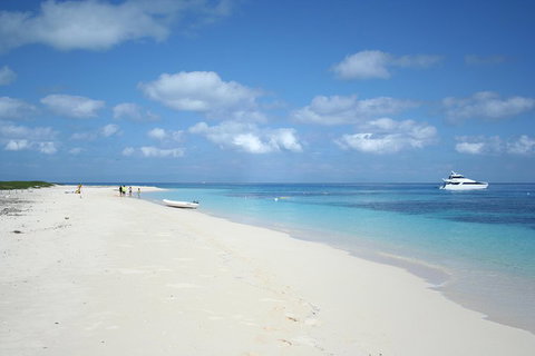 Seastar Luxury Outer Great Barrier Reef Island And Reef Tour From Cairns - Accommodation Georgetown 3