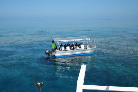 Seastar Luxury Outer Great Barrier Reef Island And Reef Tour From Cairns - Accommodation Georgetown 5