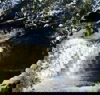 Cradle Mountain Day Tour from Launceston Including Lunch - Accommodation Georgetown