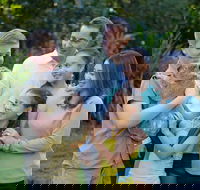 Small-Group Australia Zoo Day Trip from Brisbane - Accommodation Georgetown