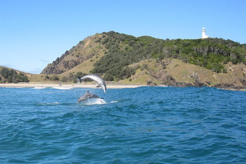 Kayaking With Dolphins In Byron Bay Guided Tour - Accommodation Georgetown 0