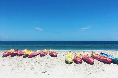 Kayaking With Dolphins In Byron Bay Guided Tour - Accommodation Georgetown 1