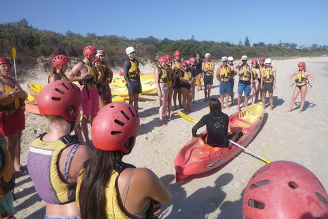 Kayaking With Dolphins In Byron Bay Guided Tour - Accommodation Georgetown 2