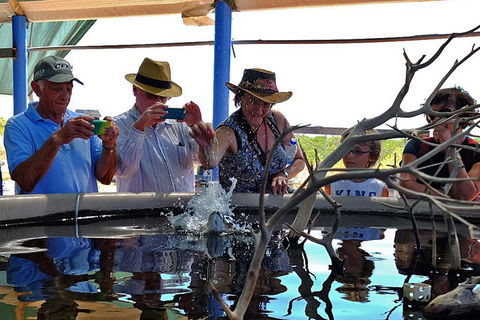 Cape Leveque 4WD Tour From Broome With Optional Return Flight - Accommodation Georgetown 0