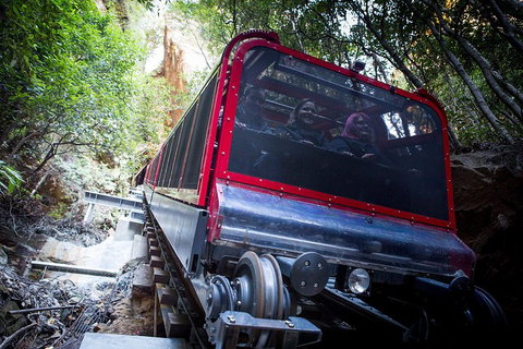Blue Mountains Hop-on Hop-off Tour With Optional Scenic World Rides - Accommodation Georgetown 0