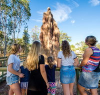 Litchfield National Park Waterfalls and Wildlife Tour from Darwin - Accommodation Georgetown