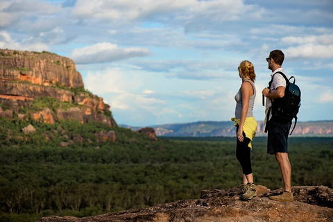 Kakadu National Park Wildlife And Ubirr Rock Art Tour From Darwin City - Accommodation Georgetown 3