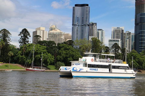 Lone Pine Koala Sanctuary Admission With Brisbane River Cruise - Accommodation Georgetown 2