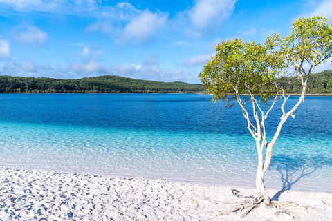 Lake McKenzie Full-Day Tour With Lunch From Hervey Bay - Accommodation Georgetown 1