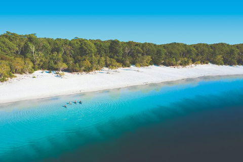 Lake McKenzie Full-Day Tour With Lunch From Hervey Bay - Accommodation Georgetown 4