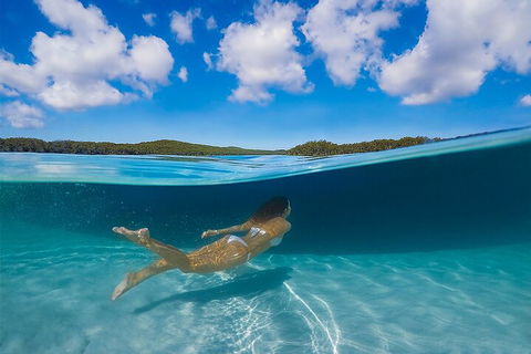 Lake McKenzie Full-Day Tour With Lunch From Hervey Bay - Accommodation Georgetown 5