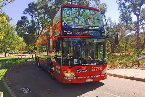 Perth Hop-On Hop-Off Bus Tour - Accommodation Georgetown 4