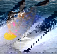 2-Day Moreton Island Tour from Brisbane or Gold Coast with Optional Nighttime Kayaking - Accommodation Georgetown