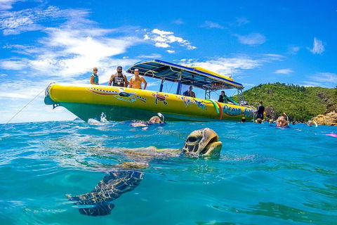Great Barrier Reef Scenic Flight And Ocean Rafting Whitehaven Beach Day Trip - Accommodation Georgetown 1
