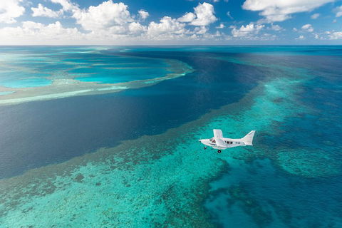 Scenic Flight - Great Barrier Reef, Heart Reef, Whitehaven Beach & Hill Inlet! - Accommodation Georgetown 3