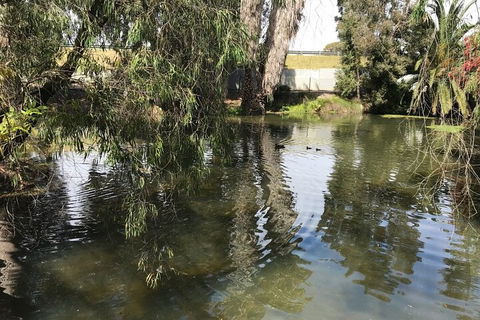 Perth East Foreshore And City Segway Tour - Accommodation Georgetown 1