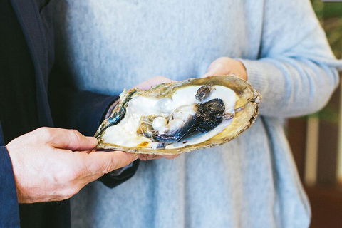 Half-Day Willie Creek Pearl Farm Tour With Helicopter Flight - Accommodation Georgetown 3
