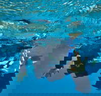 3 Day Whitsundays Sailing and Diving Adventure Kiana - Accommodation Georgetown