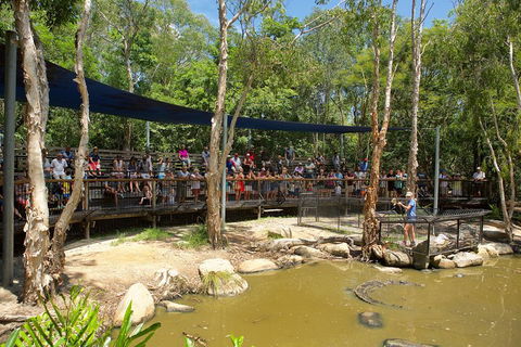 Hartley's Crocodile Adventures Breakfast With The Koalas - Accommodation Georgetown 1