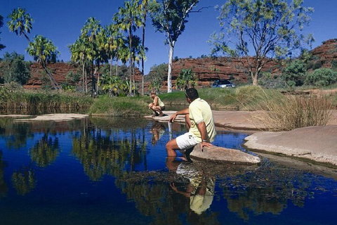 Palm Valley 4WD Day Tour - Accommodation Georgetown 1