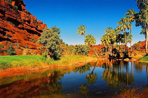 Palm Valley 4WD Day Tour - Accommodation Georgetown 2