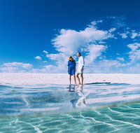 4-Day Coastal Loop via Monkey Mia Wild Dolphins Kalbarri Pinnacles Perth Return - Accommodation Georgetown