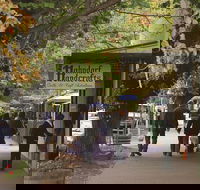 Adelaide Highlights Hahndorf  McLaren Vale Wine Tasting and Sightseeing Tour - Accommodation Georgetown