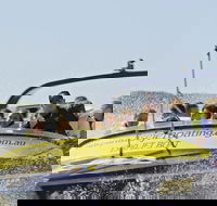 30-minute Jet Blast Express Ride - Accommodation Georgetown