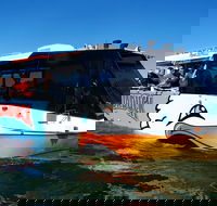 Paradise Jet Boating and Aquaduck Combo - Accommodation Georgetown
