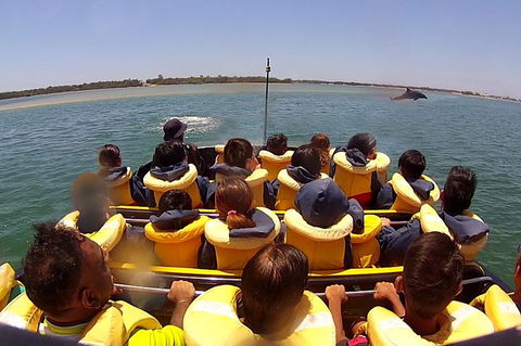 Jet Boat Express Ride - 30mins - Accommodation Georgetown 5