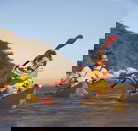 Kangaroo Island Self-Guided Kayaking on the Harriet River - Accommodation Georgetown