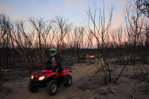 Kangaroo Island Quad Bike (ATV) Tours - Accommodation Georgetown 1