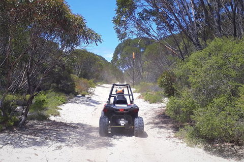 Kangaroo Island Quad Bike (ATV) Tours - Accommodation Georgetown 4