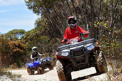 Kangaroo Island Quad Bike (ATV) Tours - Accommodation Georgetown 5