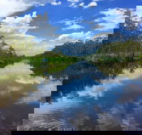 Noosa Everglades Serenity Cruise  Highlights Tour Inc. Lunch  Cruise - Accommodation Georgetown