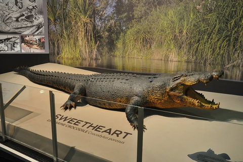 Explore Darwin City Sights Including Key Attractions - Accommodation Georgetown 2
