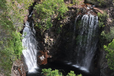 Litchfield And Jumping Crocodiles Full Day Trip From Darwin - Accommodation Georgetown 2