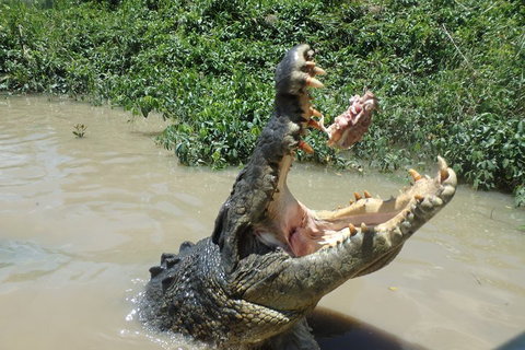 Litchfield And Jumping Crocodiles Full Day Trip From Darwin - Accommodation Georgetown 3